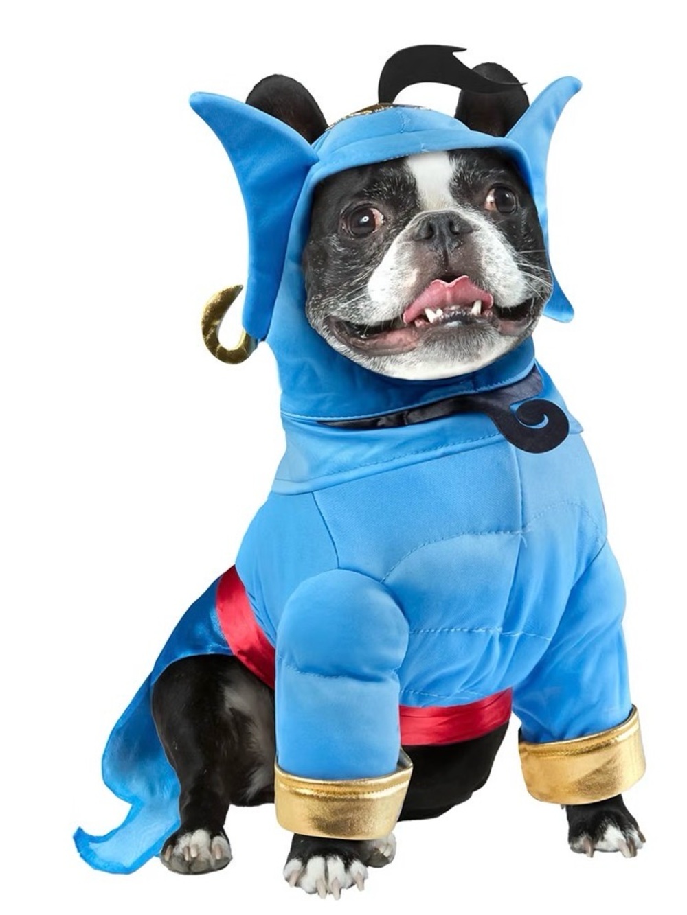 Disney Blue Genie Dog Costume size XL Gold Trim and Red Sash